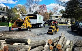 Best Sod Installation  in Boonton, NJ