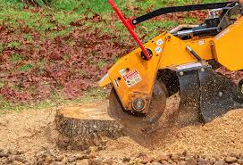 Best Stump Grinding and Removal  in Boonton, NJ